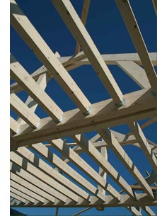 Bois d'ossature 45x220